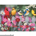 Songbirds and Cosmos 500 pc Jigsaw Puzzle  B00IEGCESS